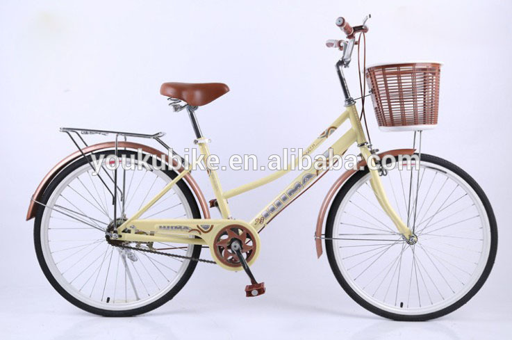 Lightweight Single Speed Ladies 24 Inch City Bike