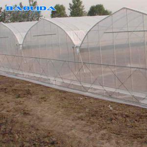 China Sunlight Plastic Film Greenhouse / Plastic Sheeting Rolls Greenhouse on sale