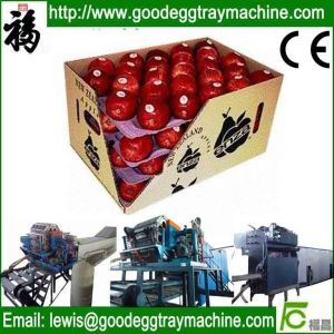 Quality apple fruit tray processing machinery for sale