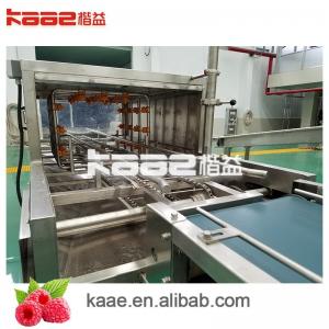 Quality Tropical Fruit Pulp Processing Line With Automatic Cleaning System Whole Line Fruit Pulp System for sale