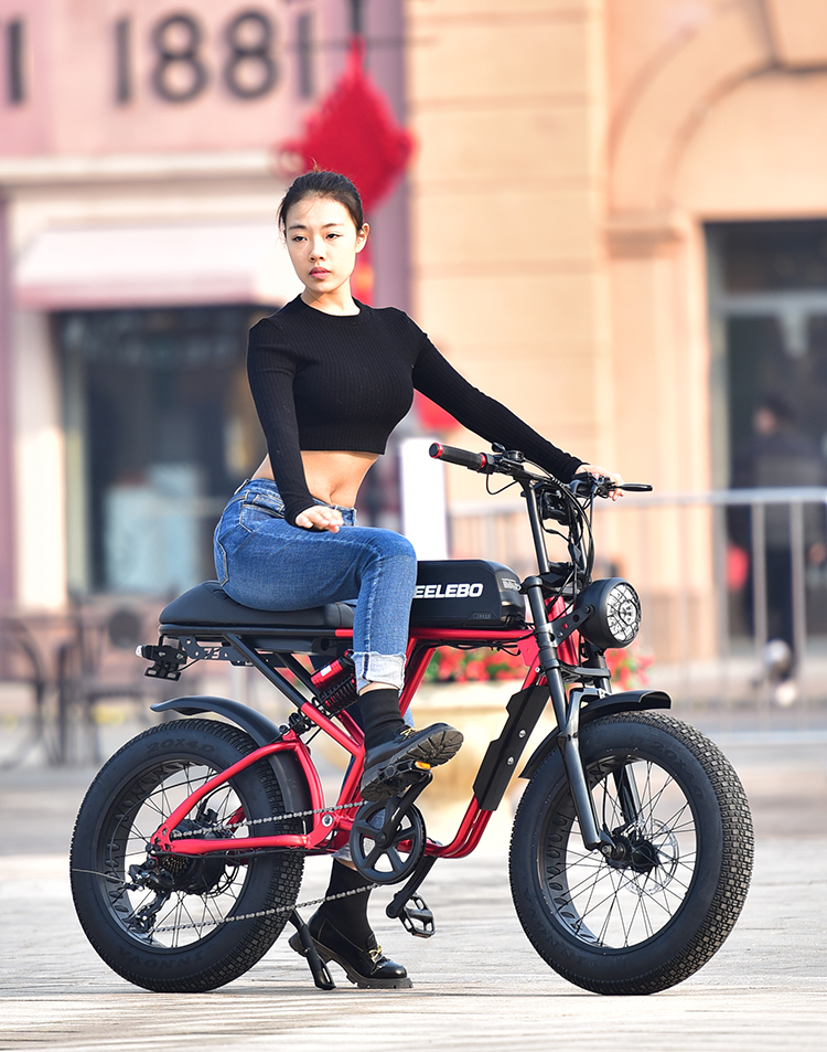 High Power Electric Cycle Motor 500w 750w 1000w E-bike GOMID Retro Electric Fat Tire Bicycle with Wheel Size 20*4.0 Inch