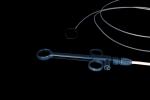 Convenient Using Polypectomy Snare Instrument With 3 Years Shelf Life