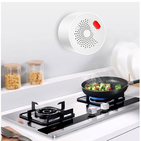 Tuya Kitchen CH4 LPG Wifi Natural Gas Leak Detector