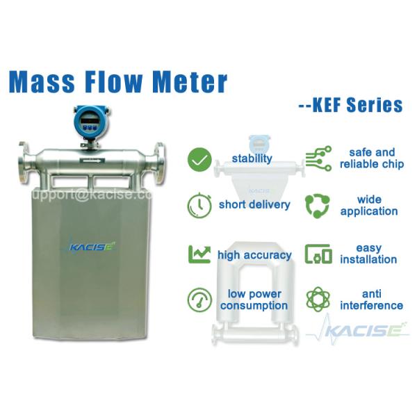 Digital LCD Display LPG Flow Meter - High Accuracy Coriolis Mass Flow Meter with Low Power Consumption