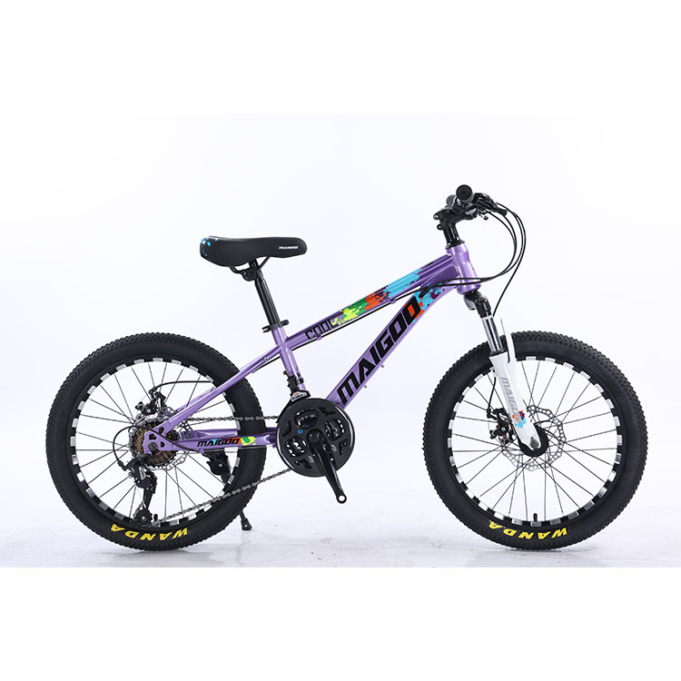 20*2.125 WANDA Tyre Steel Frame 21speed Children's Bike With Mechanical Disc Brake