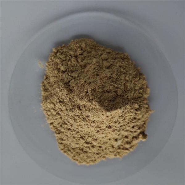 Buy gmp appetite suppressant green coffee bean extract in bulk at wholesale prices