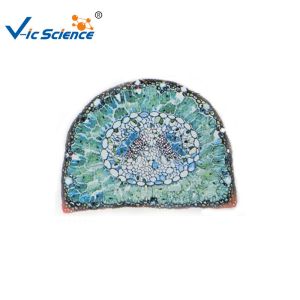 Buy cheap Professional Labs Sterile Microscope Slides Set 15pcs VIC09 OEM Service from wholesalers