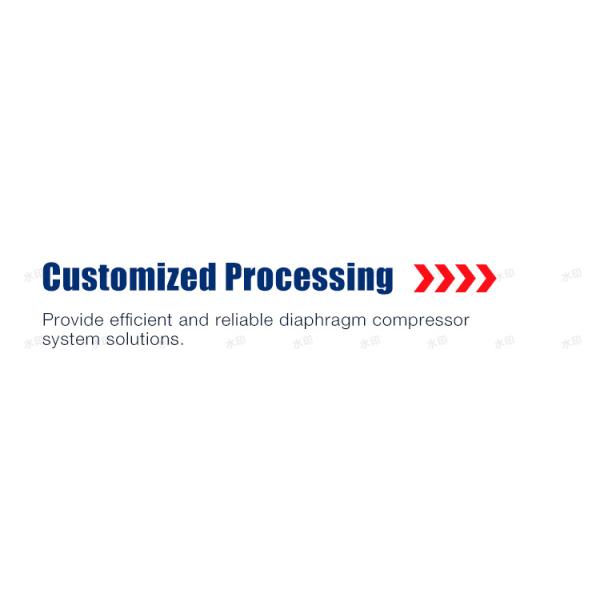 Diaphragm Compressor Gas Air Hydrogen High Purity Hydrogen H2 Helium Compressor Powerful Oil Free Diaphragm Compressor