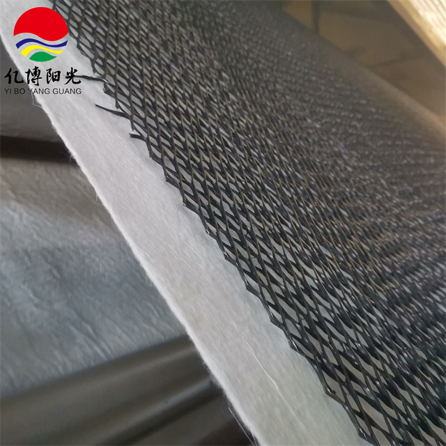 Composite Drainage Network Geonet Core 5mm-12mm for Long-Lasting Drainage Engineering