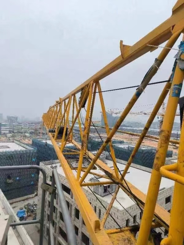 Used Zoomlion Tower Crane W6017-8f Construction Equipment