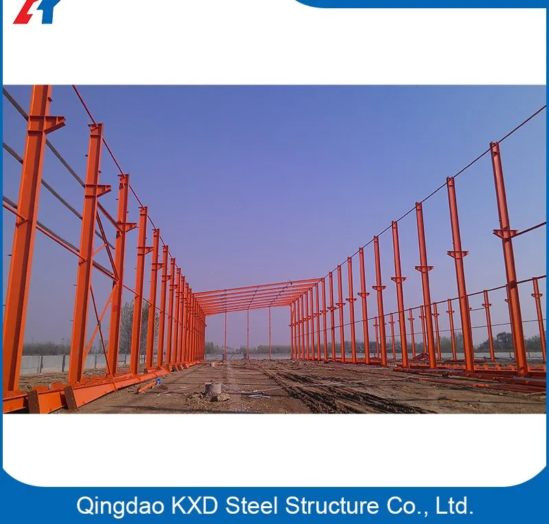 Steel Structure Prefabricated Metal Hangar/Shed