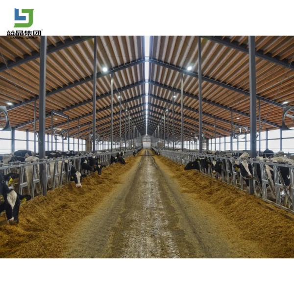 Low Cost Prefab Light Galvanized Fast Assembling Steel Structure Construction