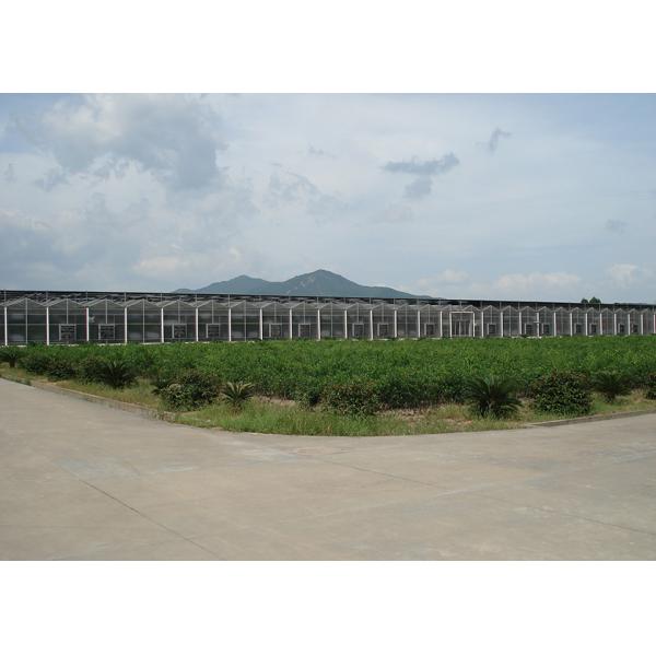 Polycarbonate Multi Span Greenhouse For Hot Climate 12 Meter Width