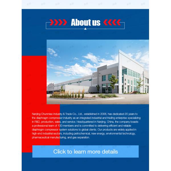 Diaphragm Compressor Gas Air Hydrogen High Purity Hydrogen H2 Helium Compressor Powerful Oil Free Diaphragm Compressor