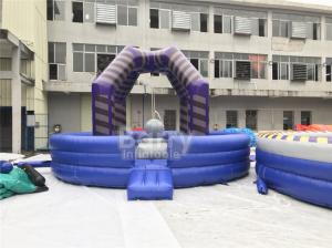 Quality Last Man Standing Inflatable Interactive Games , Purple Outdoor Playground Equipment Wrecking Ball Game for sale