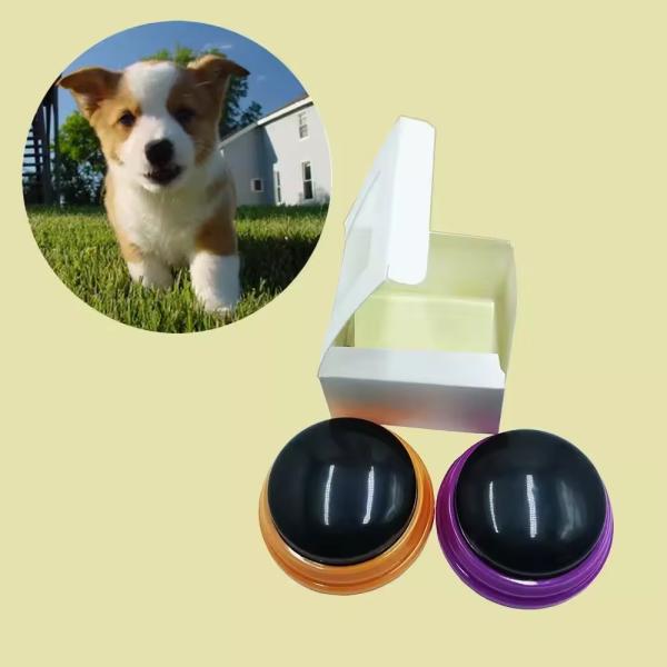 Electronic Dog Training Voice Buttons Recordable Sound Voice Music Melody Talking For Dog