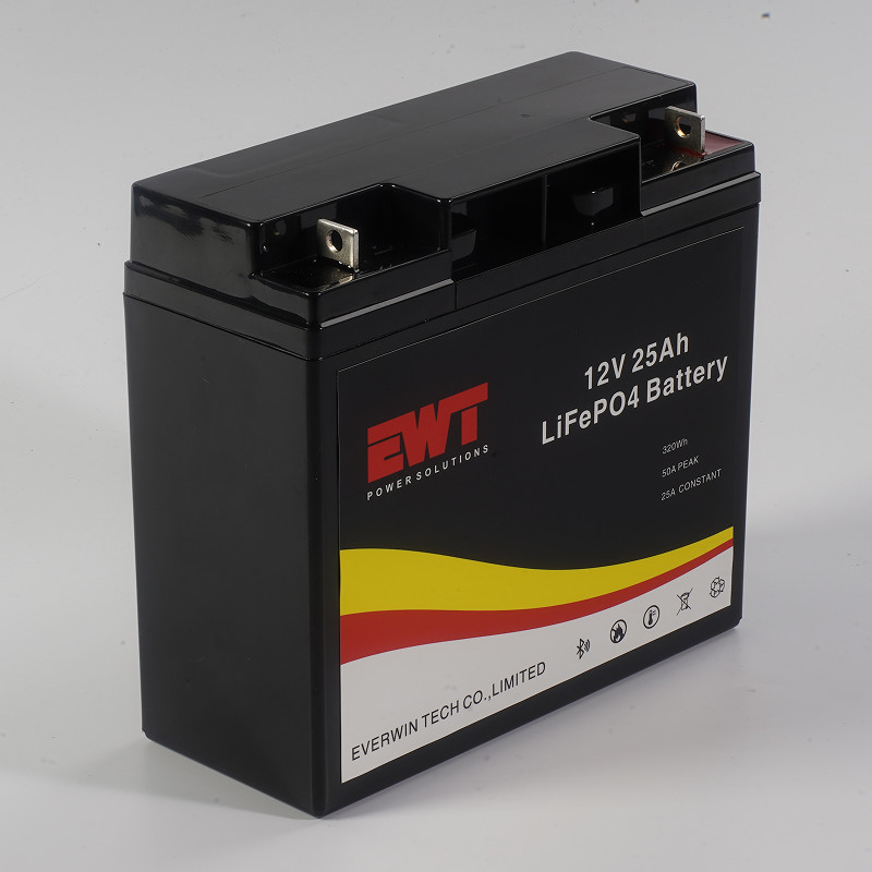 Lifepo4 Battery Pack 12V 25Ah Lithium Iron Phosphate Battery With Smart BMS