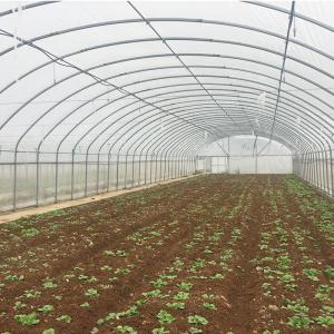 Quality Film Cover Single-Span Agricultural Greenhouses for Agricultural Cultivation for sale