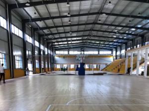 Quality Q355b Prefabricated Industrial Steel Building with Secondary Frame Brace for sale