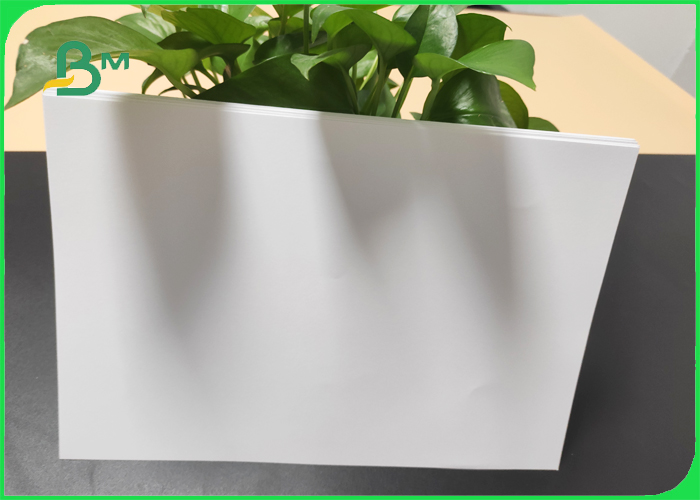 Uncoated woofree paper