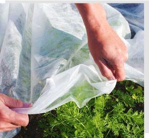 Quality 6400mm Agricultural Nonwoven Weed Control Fabric 60gsm for sale