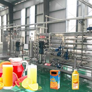 Quality SUS304 500T/D Citrus Processing Line Automatic Juice Extracting for sale