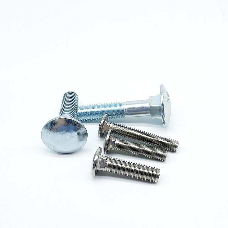 HDG/ZP/Plain And Stainless Steel Carriage Bolt DIN603 With Nut