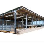High Standard Galvanized Steel Farm Storage Buildings Snow Resistance