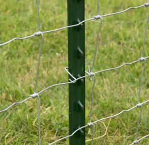 Quality 1000mm Y Shaped Fence Post Black Painted Steel for sale