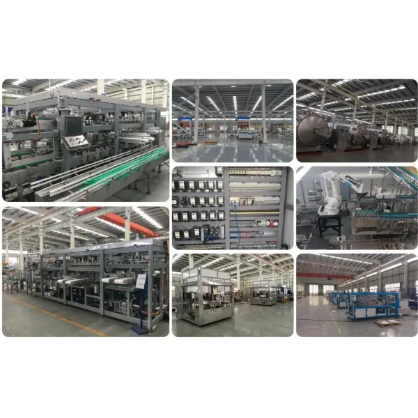 Gantry Palletizer Beverage Palletizer Customized for Beverage Line