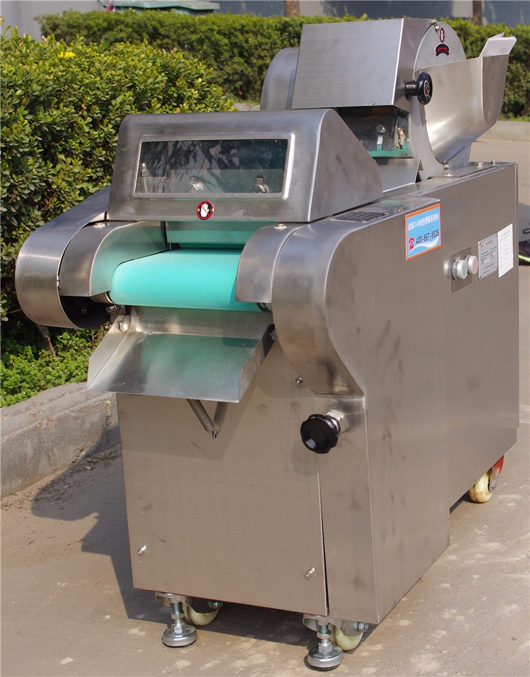 Joyshine Machinery Belt Conveyor Type Lemon Grass Cucumber Potato Cutting Machine