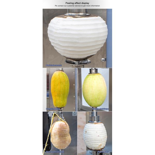 papaya chieh-qua pumpkin wax gourd pineapple Vertical single knife peeling machine watermelon Hami Melon Peeling polishing