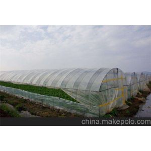 Agriculture Hail Protection Netting For Vegetable Greenhouse Tunnel Farming