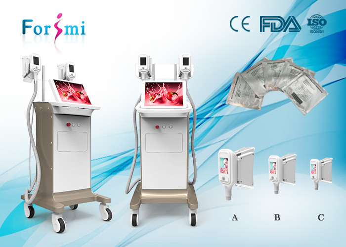Sound results,Various sizes of handles sizes,big touch screen,big treating area,Cryolipolysis Slimming Machine
