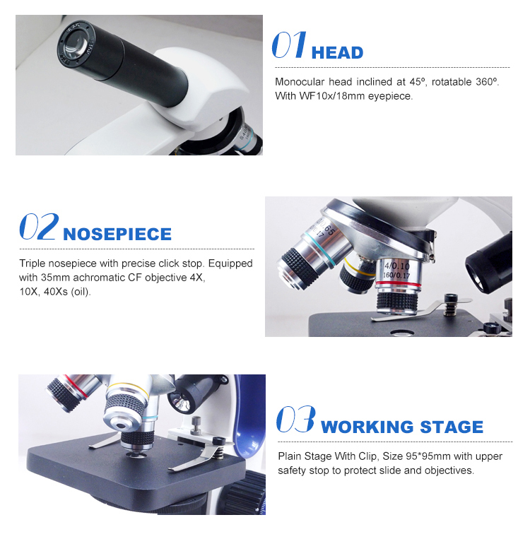 45º Inclined Monocular Compound Microscope A11.1143 With Dual Light
