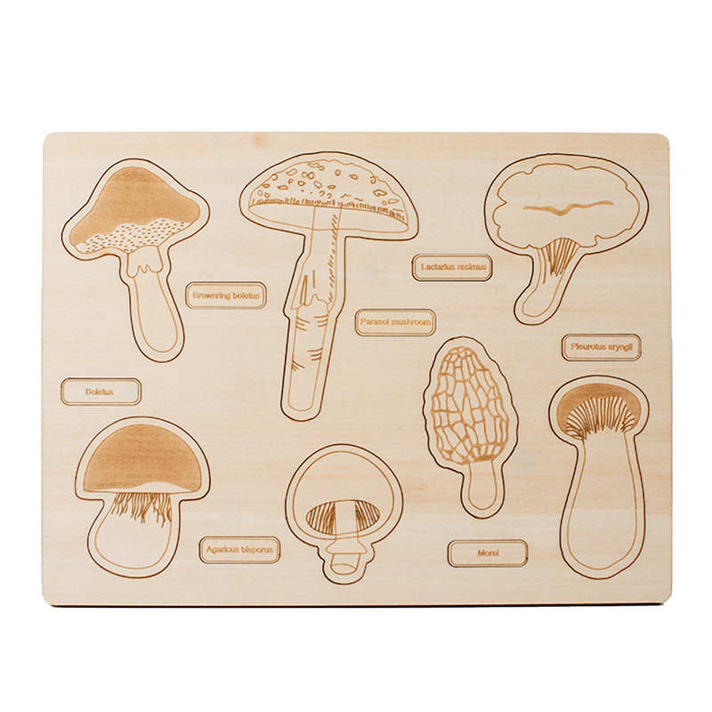 Montessori Toy wooden Mushroom Growth Cycle Puzzle &Wooden Dinosaur Puzzle