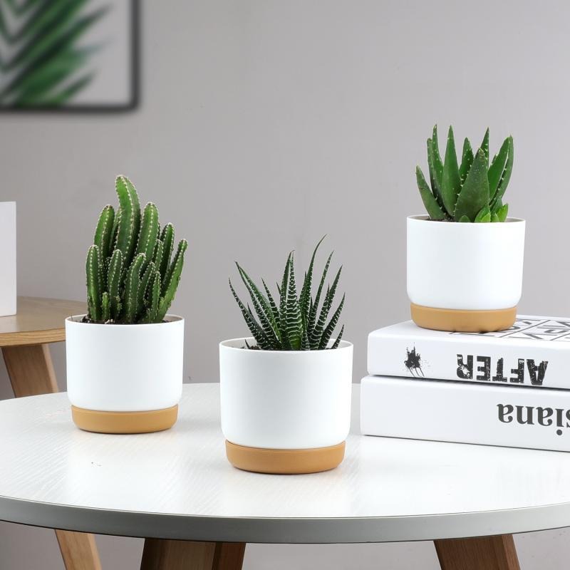 Modern Self Watering Planter Pot for Home Decor
