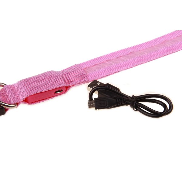 Anti Loss Glowing Dog Collars Polyester Luminous Dog Collars Feature Lights