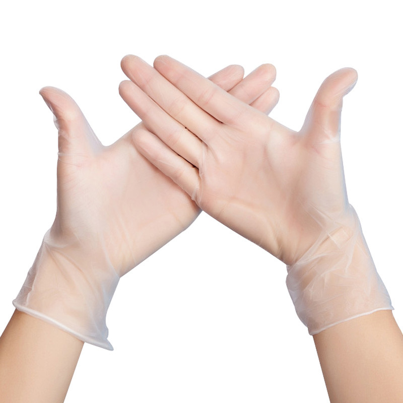 Powder Free PVC Disposable Vinyl Gloves L XL For Medical Examination