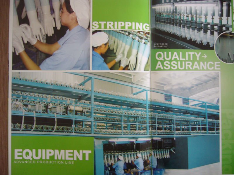 Disposable Vinyl Gloves Powder Free , Disposable Medical Gloves Infection Control