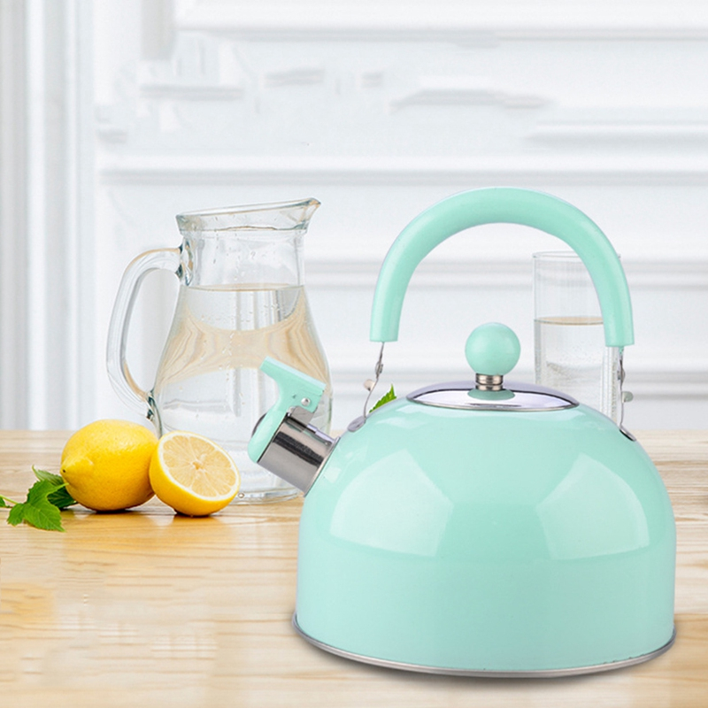 Household stainless steel electric OEM tea pot hot water whistling kettle