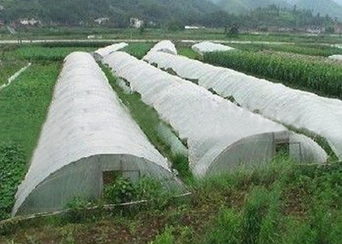 Shading , Reduce to Water Evaporation PP Nonwoven for Agricultural