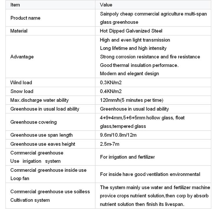 Advanced Hydroponic System for Growing Vegetables in Agricultural Greenhouses