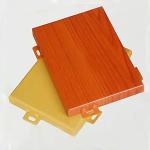 High Durability Customized Aluminum Facade Panel