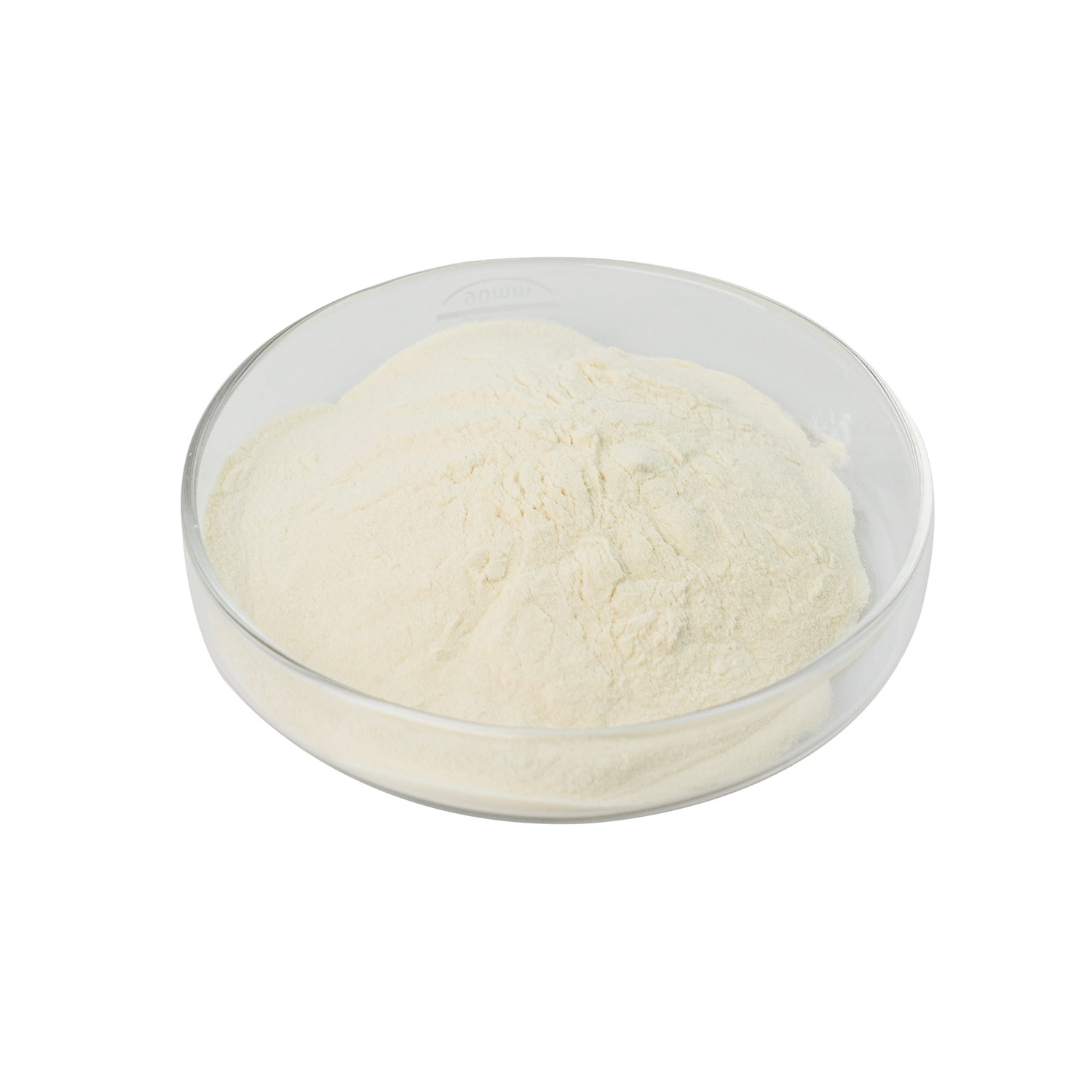 High Stability Enzymatic Lipase Powder 50,000-200,000 Lipase Enzyme in White Ideal for Various Applications