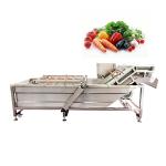 Wild Vegetable Portable Washing And Dryer Machine Zhengzhou