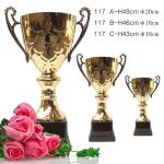 School Trophy