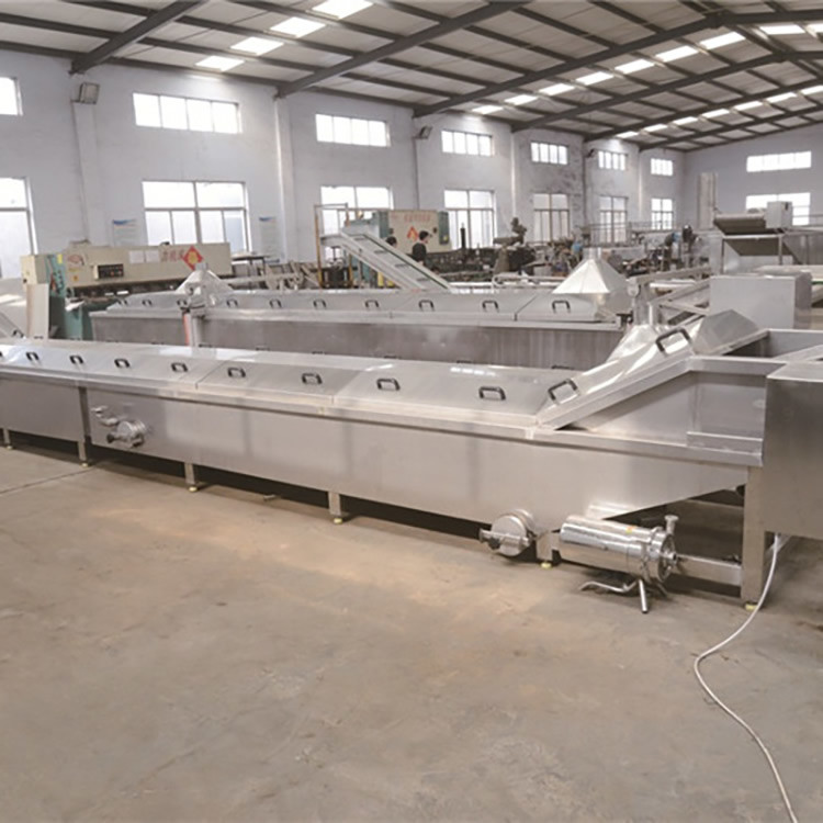 Vegetable and fruit pasteurization line
