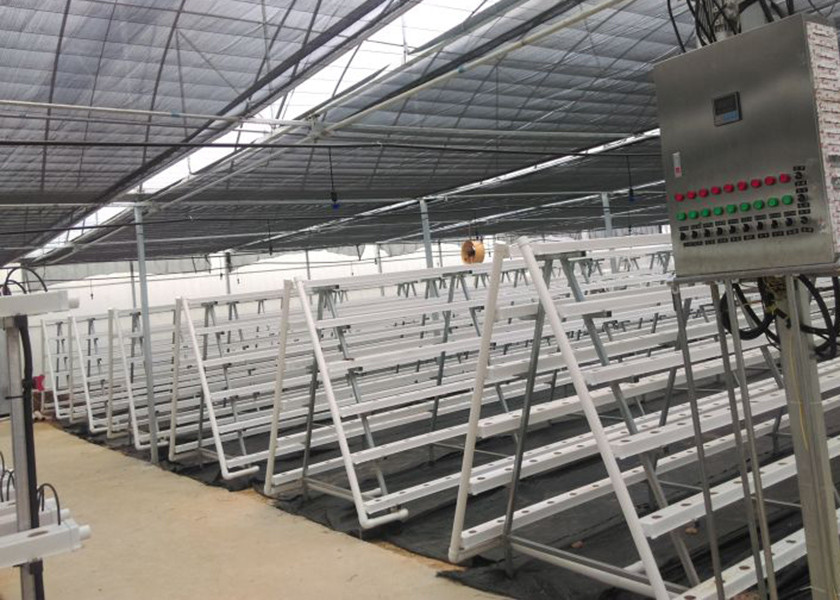 Water Efficient NFT Hydroponics System With Automated Management