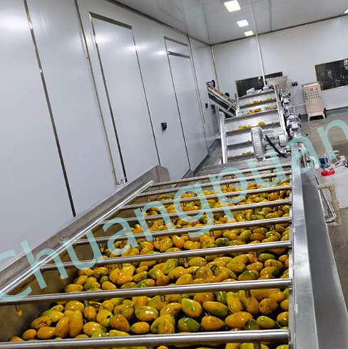 20KW Mango Pulp Production Line 500-50000KG/H 380V 410V